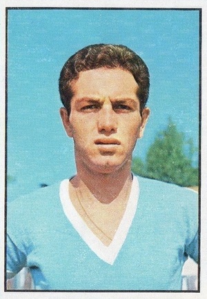 Panini196566.jpg