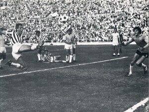 7778juventus (1).jpg