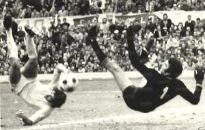 Zoff74.jpg
