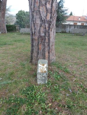 Rotellini mario (4).JPG