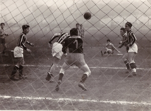 MoscaLazio.jpg