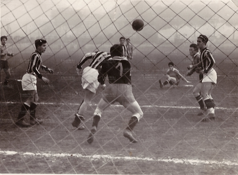 File:MoscaLazio.jpg