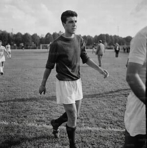 196061GuaglianoneAll.jpg