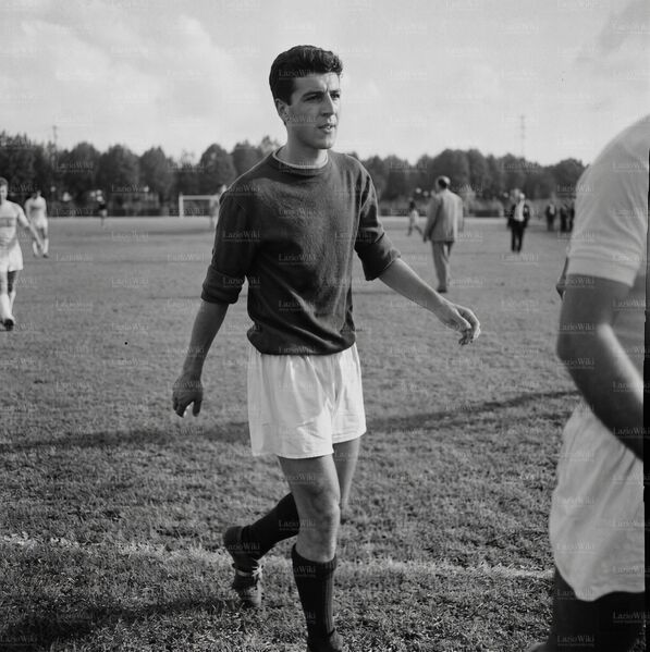 File:196061GuaglianoneAll.jpg