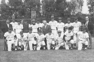 Baseball1971.jpg