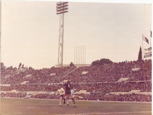 Cesena73-74 (4).jpg