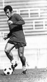 Il Gaucho in allenamento