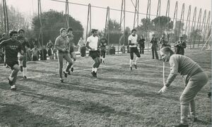 TMaestrelli 39.jpg