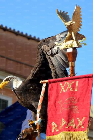 06giu2013e10.jpg