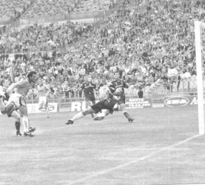 24101995a.jpg