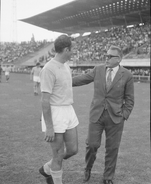 8ott67MarchesiGei2.jpg