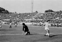 Abbondanza in azione