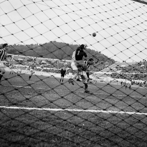 08feb59b.jpg