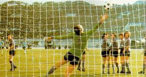 20feb77d'amicogoal.jpg