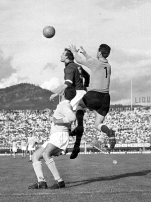 5ott58Tozzi.jpg