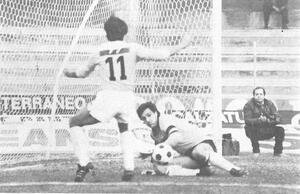 Ascoli83a.jpg