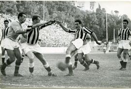 Malacarne impegnato in un'azione difensiva