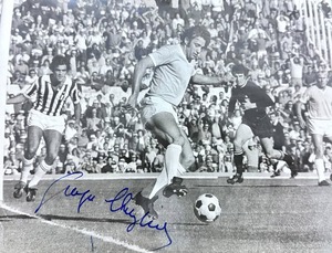 Chinaglia261.jpg