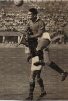 Flavio Cecconi in azione