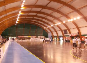 C5F Presentazione 2013-14 - Pala Gems 2.jpg