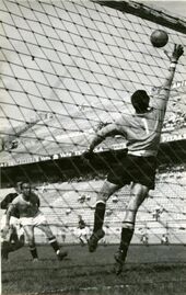 Una parata di Lovati