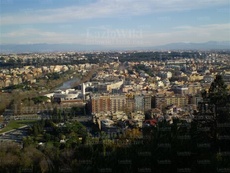 Foto 6: Gran parte dell'area sulla riva destra del Tevere, dove sorgeva la Piazza d'Armi, è oggi inurbata (foto: F.Bellisario ©).