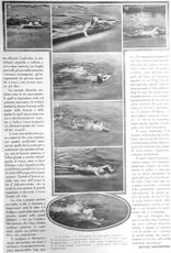 ...corredato con foto di Balestrieri stesso.