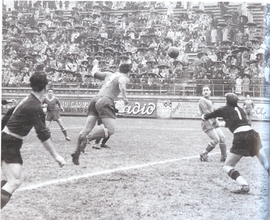 La rete di Romagnoli