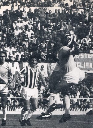 7778juventus (16).jpg