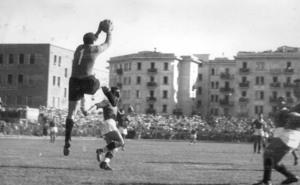 7set47e.jpg