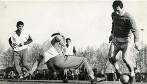 Allenamento196364b.jpg