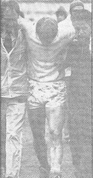 7feb74aa.jpg