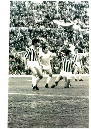 Garlaschelli spinosi.jpg