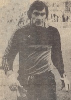 Pulici nel 1981/82