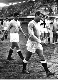 Bizzarri e Zanetti