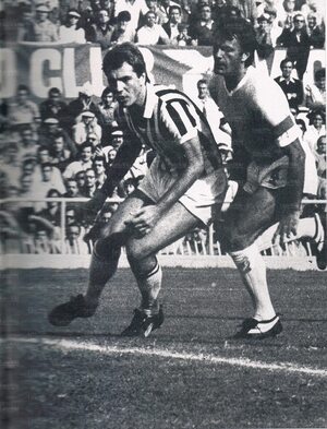 7778juventus (15).jpg