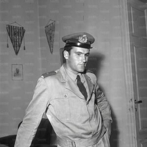 Cei196061b.jpg