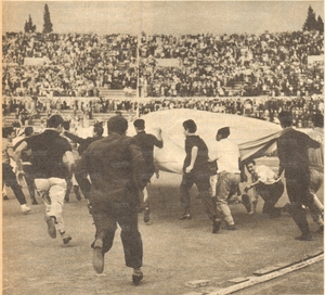 16giu53b.jpg
