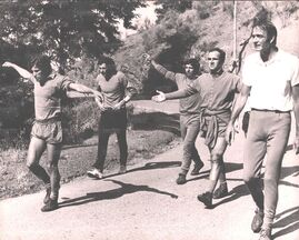 Massa, Chinaglia, Di Vincenzo, Bandoni e Lovati