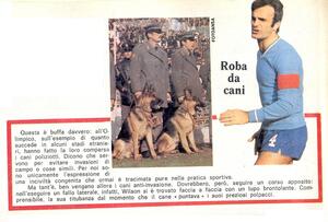 Cani2.jpg