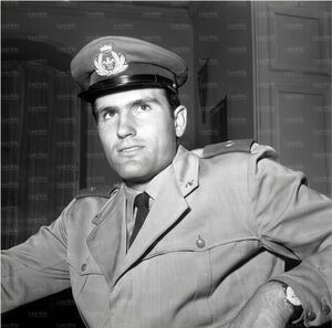 Cei196061c.jpg
