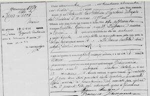 Rem Picci atto nascita.jpg