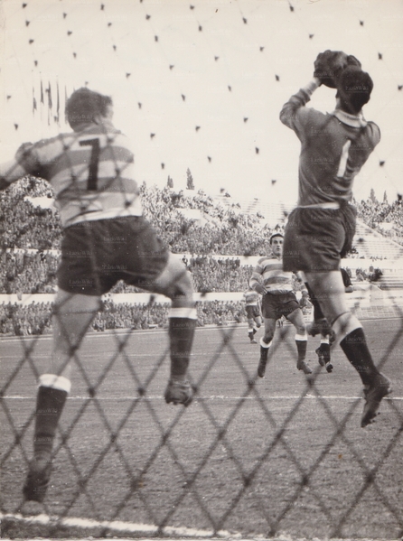 File:21nov54.jpg