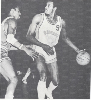 Basket - Jeelani 1976.jpg