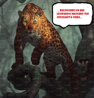 Olimpicus - Aurora04.jpg