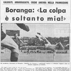 Boranga72b.JPG