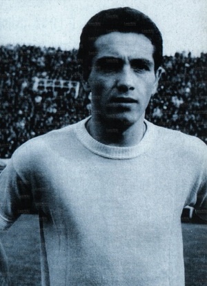 Vito D'Amato.jpg