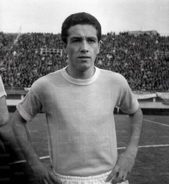 File:Vito D'Amato.jpg