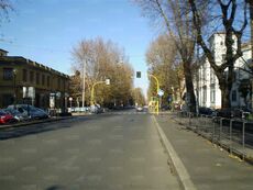 Foto 1: Viale Angelico (foto: F.Bellisario ©).