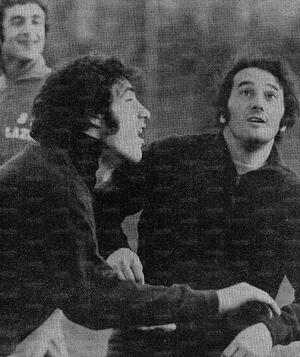 Fortunato Chinaglia.jpg